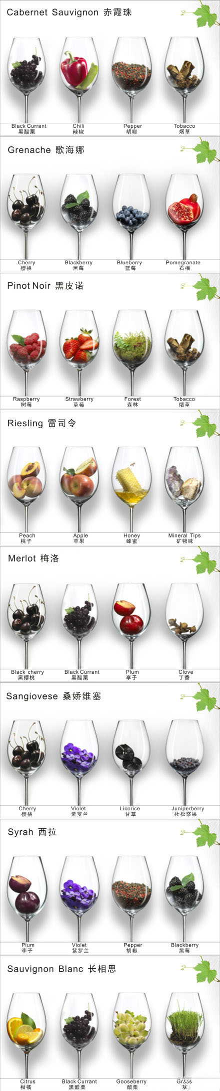 葡萄酒之品酒闻香