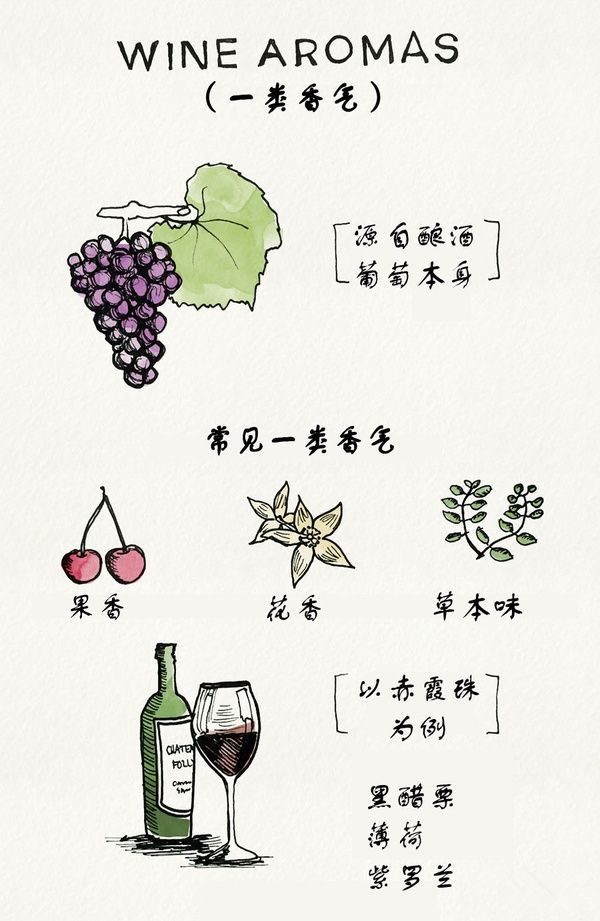 葡萄酒之品酒闻香