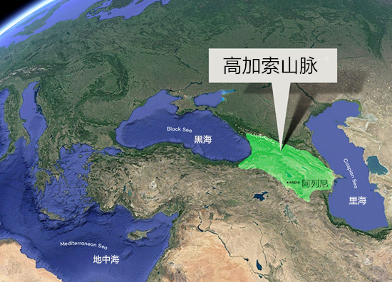 你知道葡萄酒起源于哪里吗