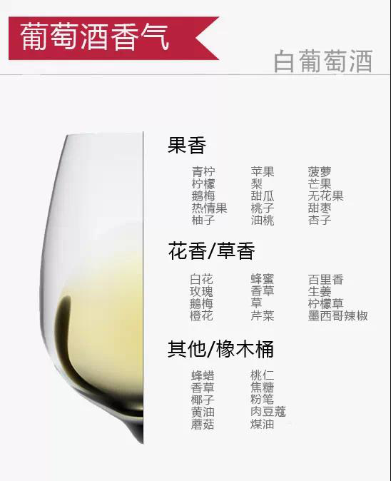十二张图带你认识葡萄酒