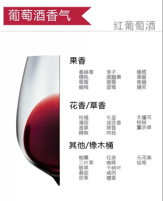 十二张图带你认识葡萄酒