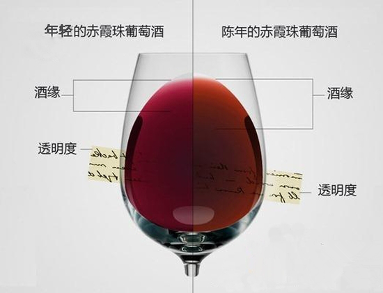 葡萄酒颜色
