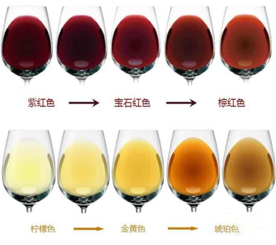 葡萄酒颜色