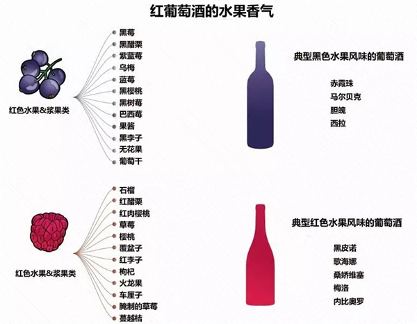 红葡萄酒的香气类型