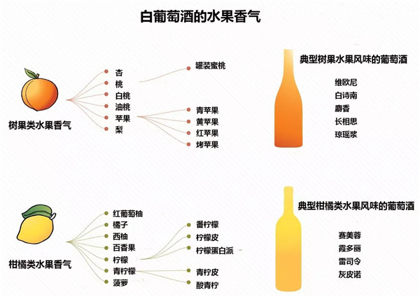 白葡萄酒的香气类型