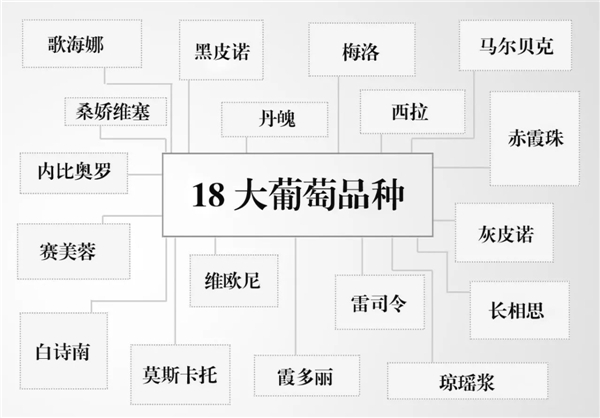 葡萄酒的类型