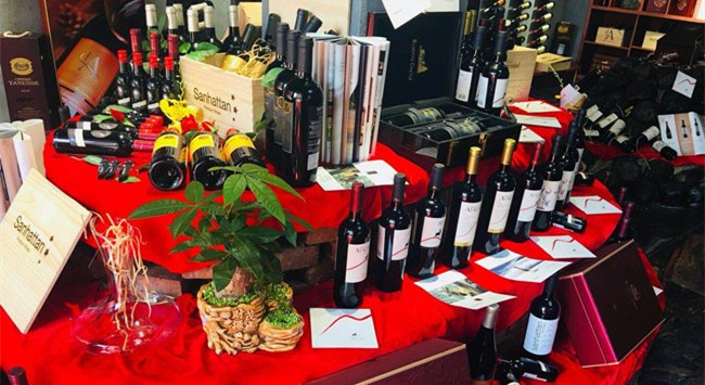 代理什么葡萄酒品牌适合